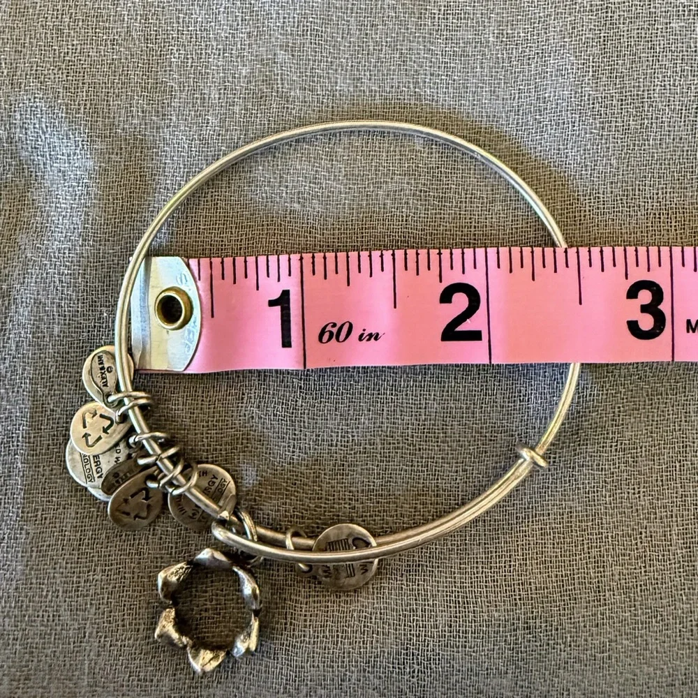 Alex and Ani Silver Charm Bangle Bracelet - Picture 3 of 4